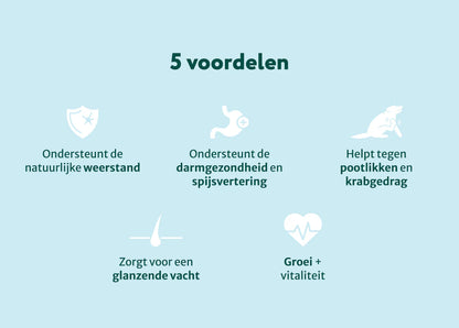 DS Puppy Probiotica | Ondersteun darmflora en spijsvertering | Zonder vlees | 90 snoepjes