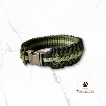 Cool Green - Halsband + Riem