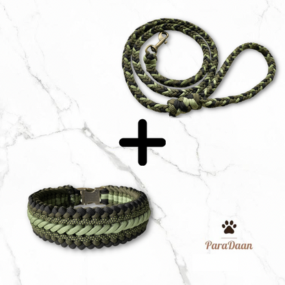 Cool Green - Halsband + Riem