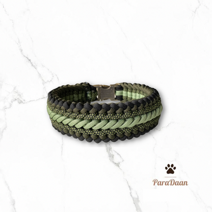 Cool Green - Halsband + Riem
