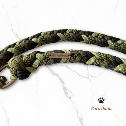 Cool Green - Halsband + Riem