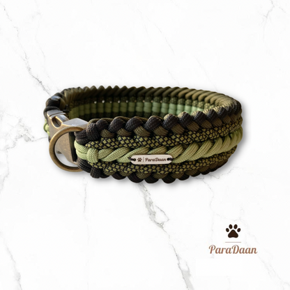 Cool Green - Halsband + Riem